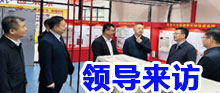 領(lǐng)導(dǎo)來(lái)訪(fǎng)